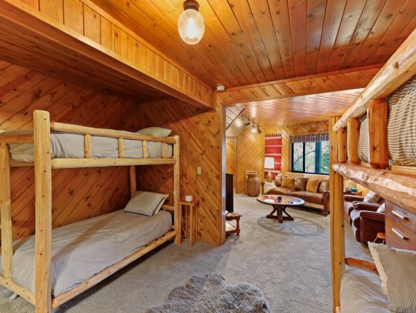 Big Bear Home 1022871
