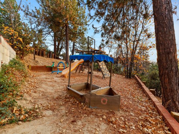 Big Bear Home 1022871