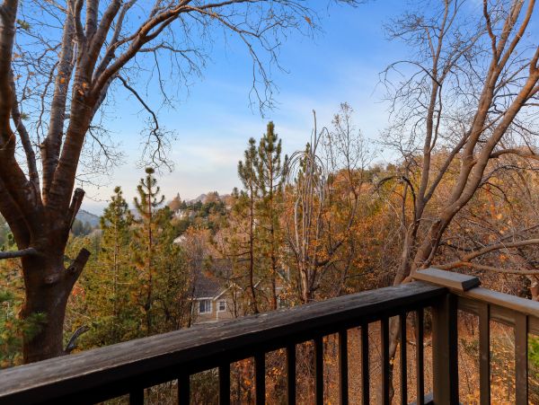Big Bear Home 1022871