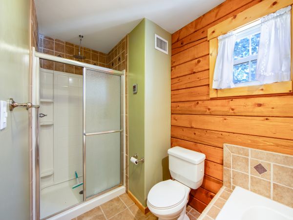 Big Bear Home 1022872