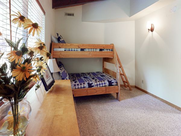 Big Bear Home 1022873