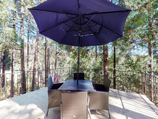 Big Bear Home 1022873