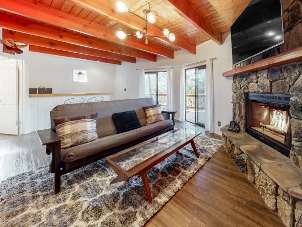 Big Bear Home 1022875