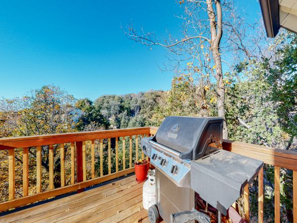 Big Bear Home 1022875