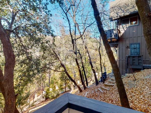 Big Bear Home 1022875
