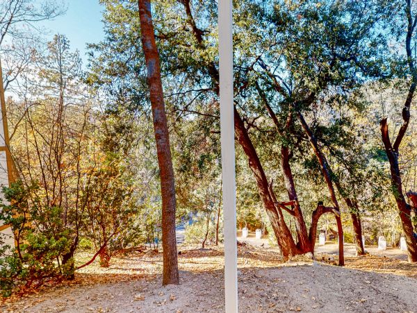 Big Bear Home 1022875