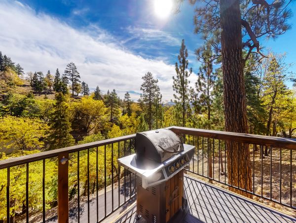 Big Bear Home 1022876