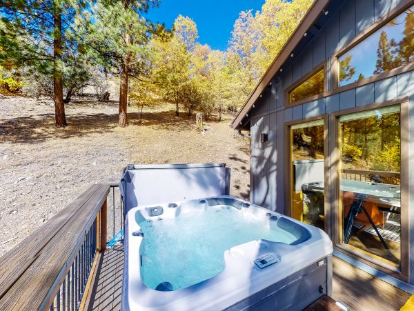 Big Bear Home 1022876
