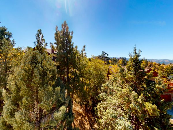 Big Bear Home 1022877