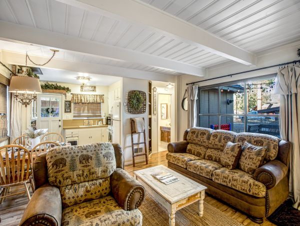Big Bear Home 1022878