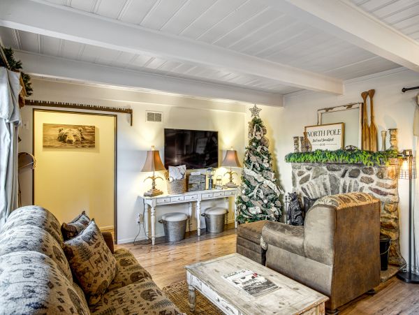 Big Bear Home 1022878