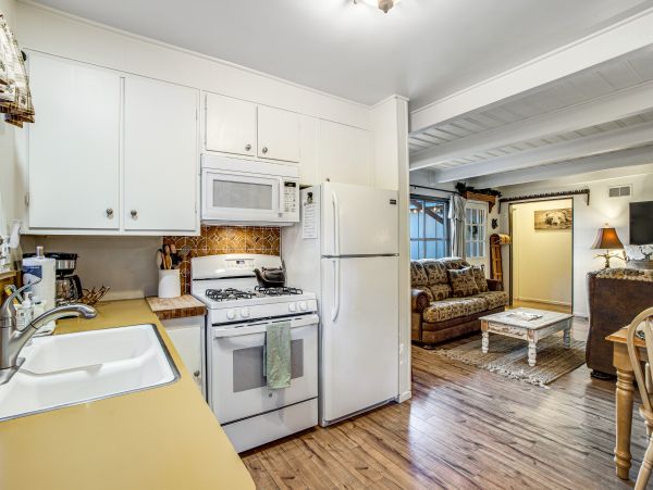 Big Bear Home 1022878
