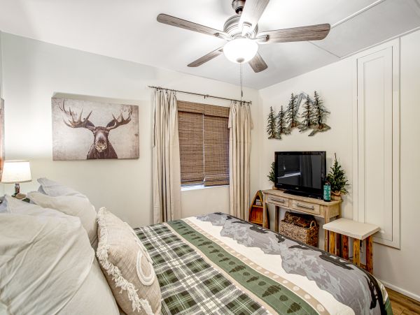 Big Bear Home 1022878
