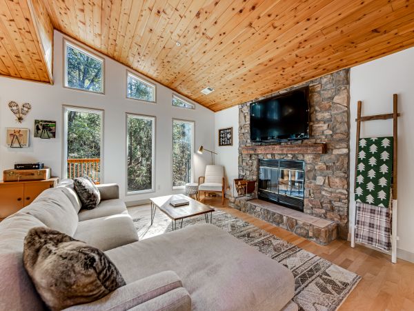 Big Bear Home 1022879