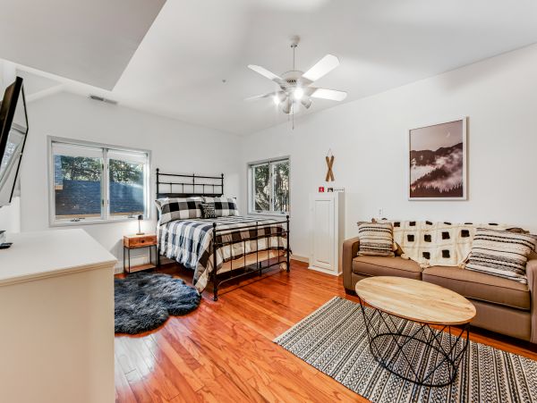Big Bear Home 1022879