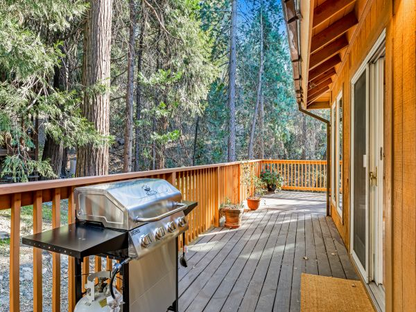 Big Bear Home 1022879