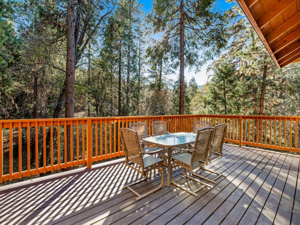 Big Bear Home 1022879
