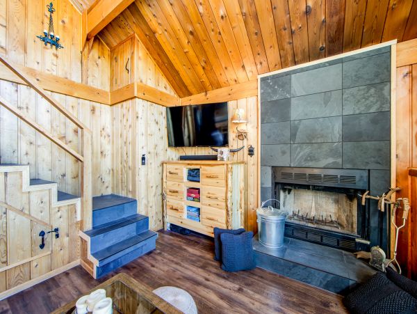Big Bear Home 1022880