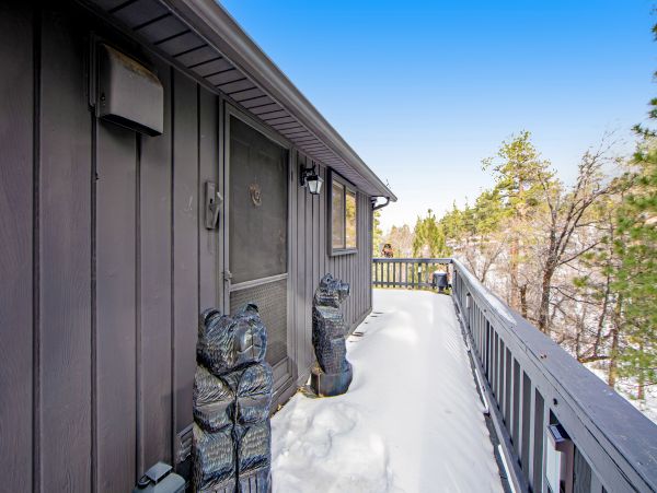 Big Bear Home 1022880