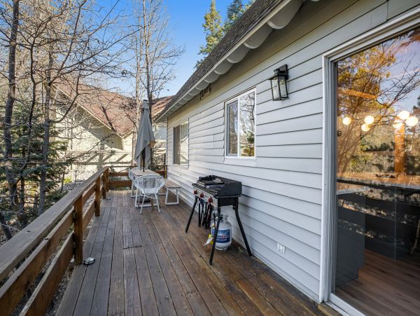 Big Bear Home 1022881