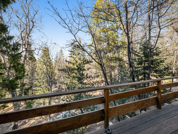 Big Bear Home 1022881