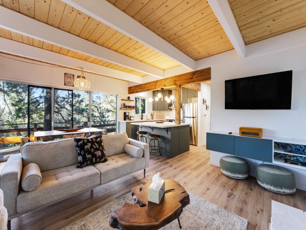 Big Bear Home 1022881