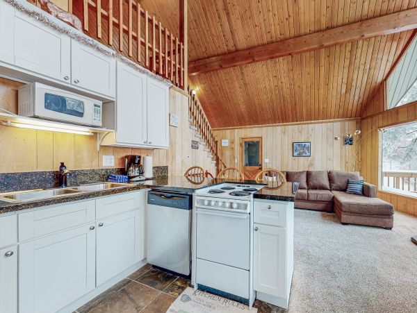 Big Bear Home 1022884