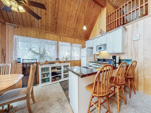 Big Bear Home 1022884