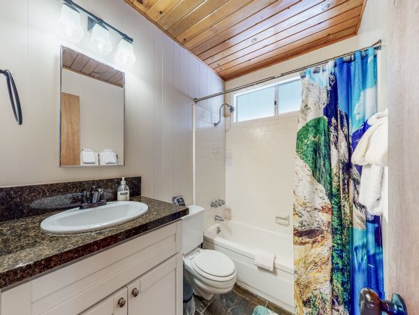 Big Bear Home 1022884