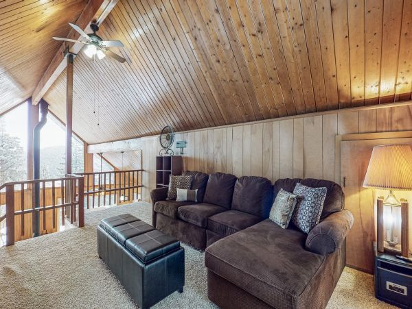 Big Bear Home 1022884