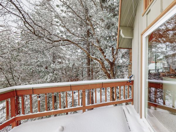 Big Bear Home 1022884