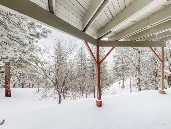 Big Bear Home 1022884