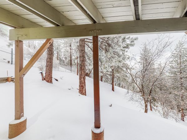 Big Bear Home 1022884