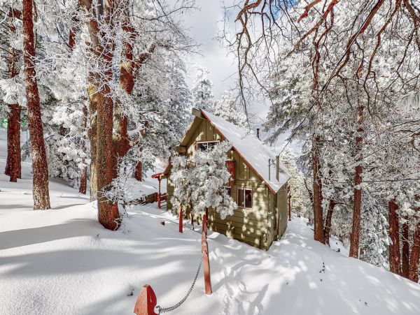 Big Bear Home 1022884