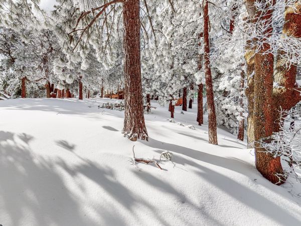 Big Bear Home 1022884