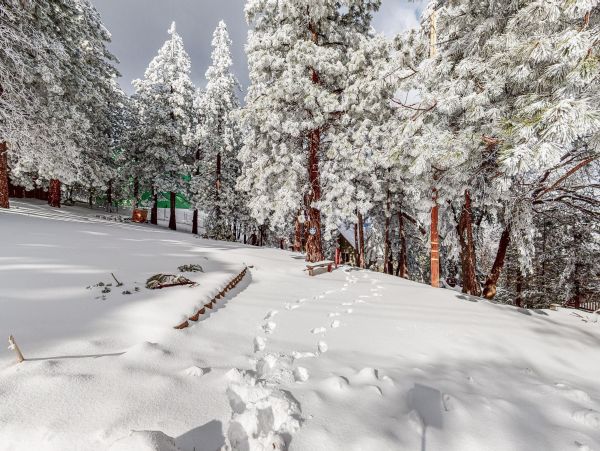 Big Bear Home 1022884