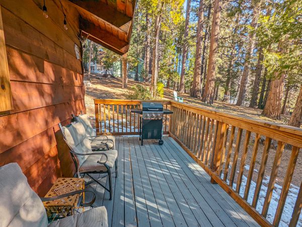 Big Bear Home 1022885