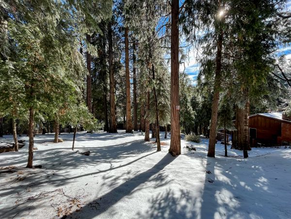 Big Bear Home 1022885