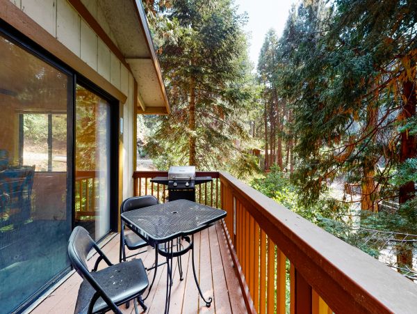 Big Bear Home 1022886