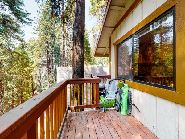 Big Bear Home 1022886