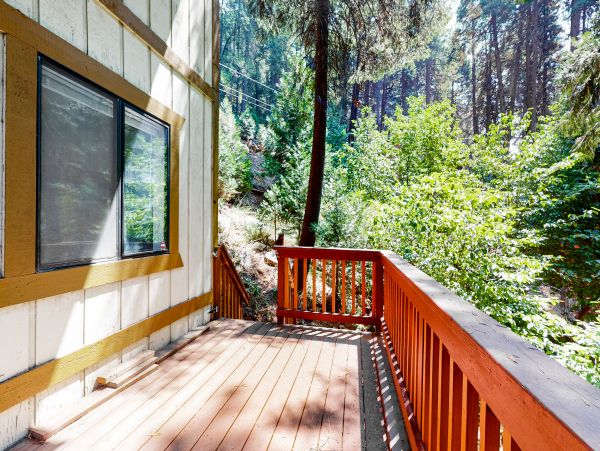 Big Bear Home 1022886