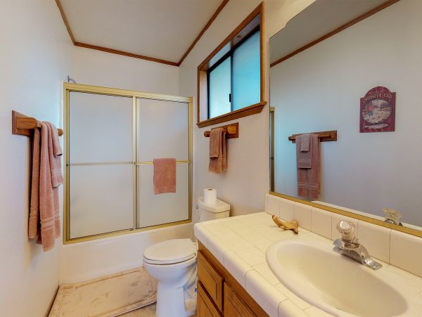 Big Bear Home 1022887