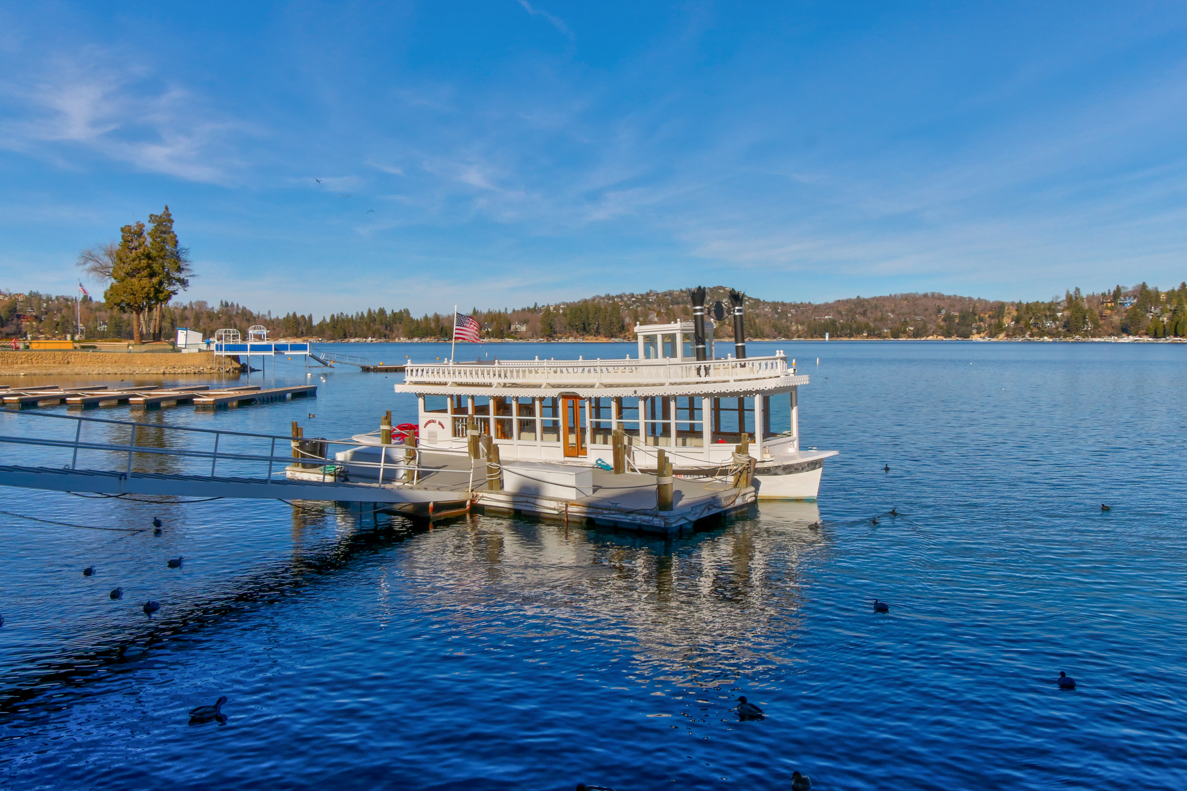 Big Bear Home 1022887