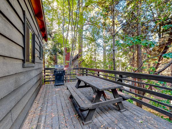 Big Bear Home 1022888