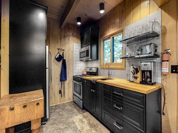 Big Bear Home 1022888