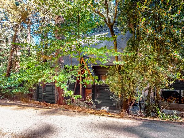 Big Bear Home 1022888