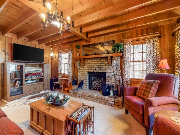 Big Bear Home 1022889