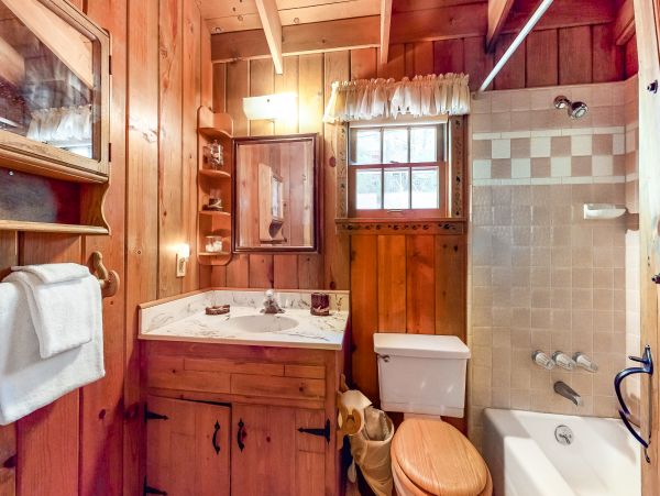 Big Bear Home 1022889