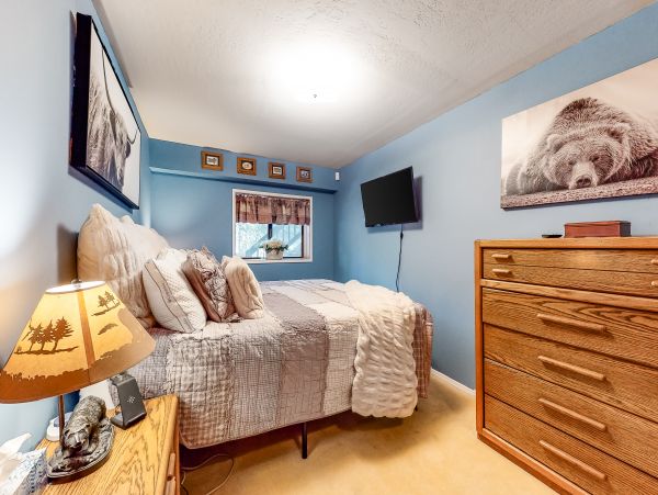 Big Bear Home 1022889