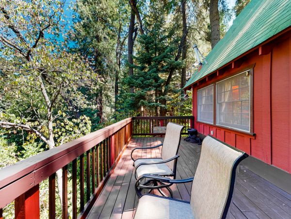 Big Bear Home 1022889